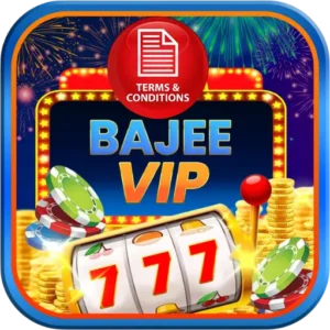 Bajeevip Terms of Use