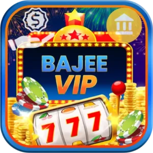 Bajeevip Banking and Payment Options